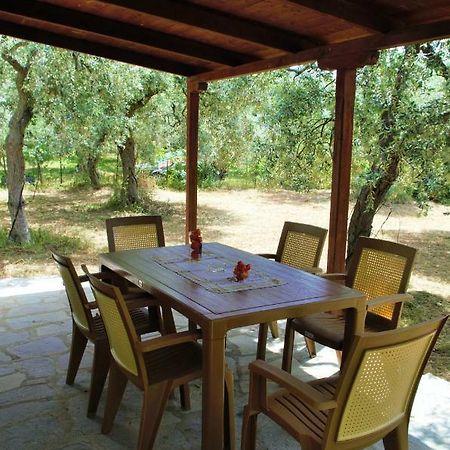 Ktima Elia Villa Скала Сотирос Екстериор снимка