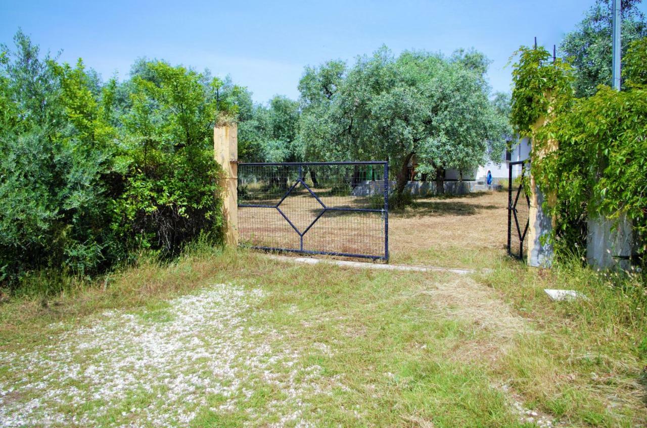 Ktima Elia Villa Скала Сотирос Екстериор снимка