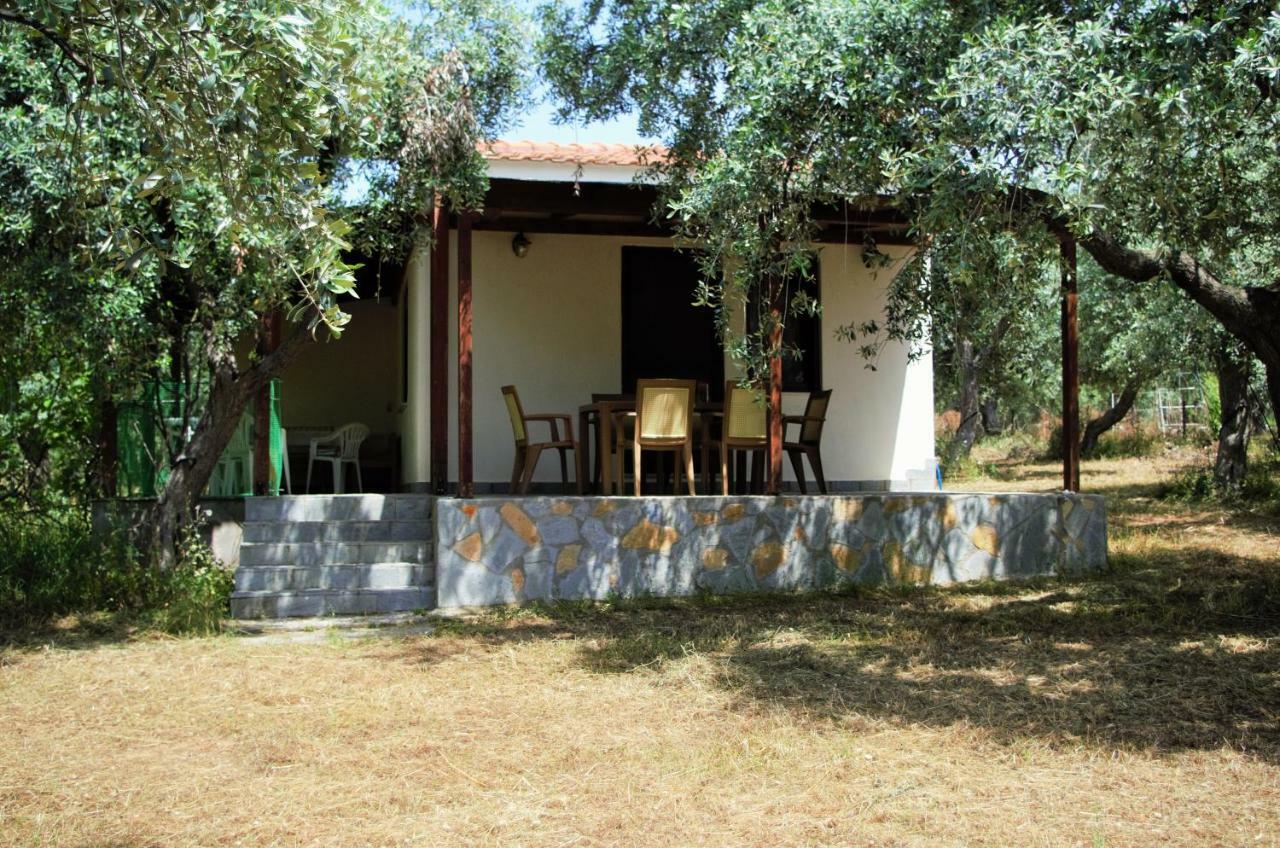 Ktima Elia Villa Скала Сотирос Екстериор снимка