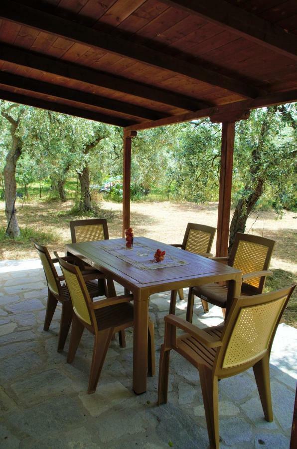 Ktima Elia Villa Скала Сотирос Екстериор снимка