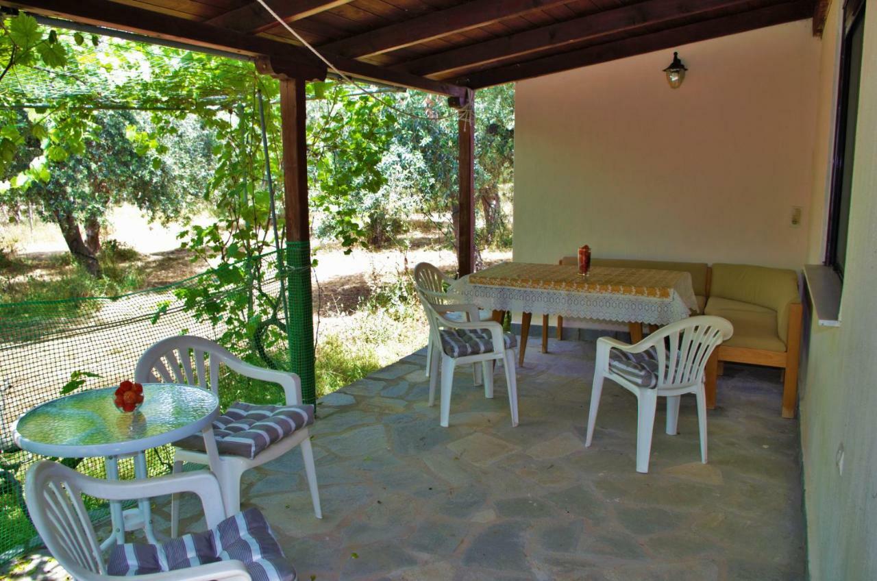 Ktima Elia Villa Скала Сотирос Екстериор снимка