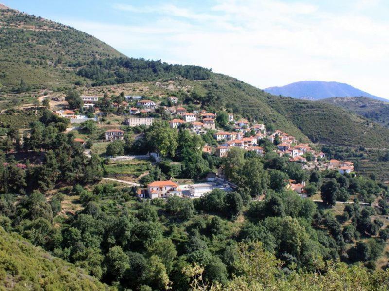 Ktima Elia Villa Скала Сотирос Екстериор снимка